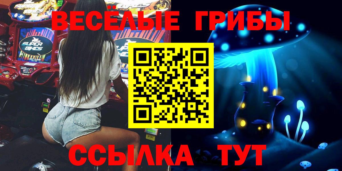 Елец  Галлюциногенные грибы мицелий  закладки  Вход с VPN 