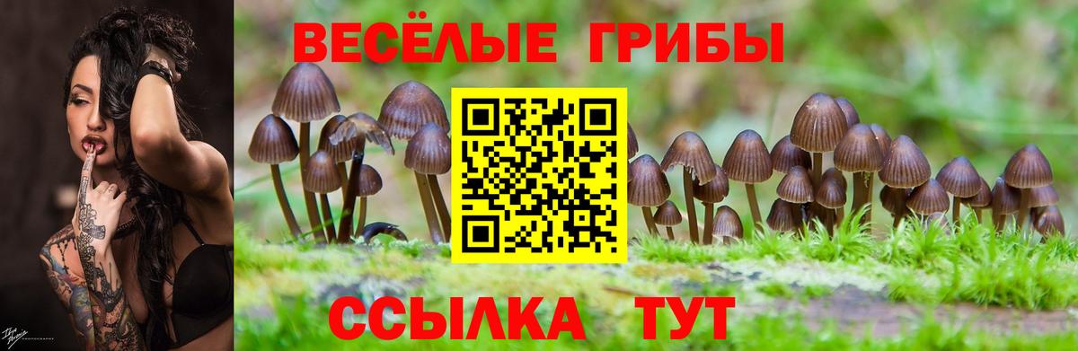 Галлюциногенные грибы MAGIC MUSHROOMS Елец